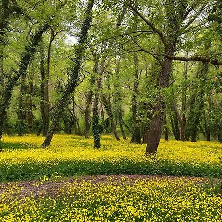 Slavuna Hotel 4*