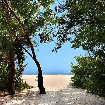 Slavuna 4* Albena